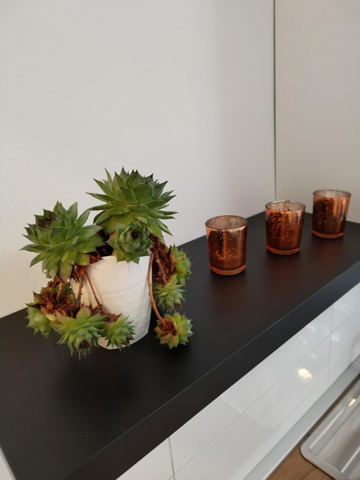 Apartments Mirijana بولا المظهر الخارجي الصورة
