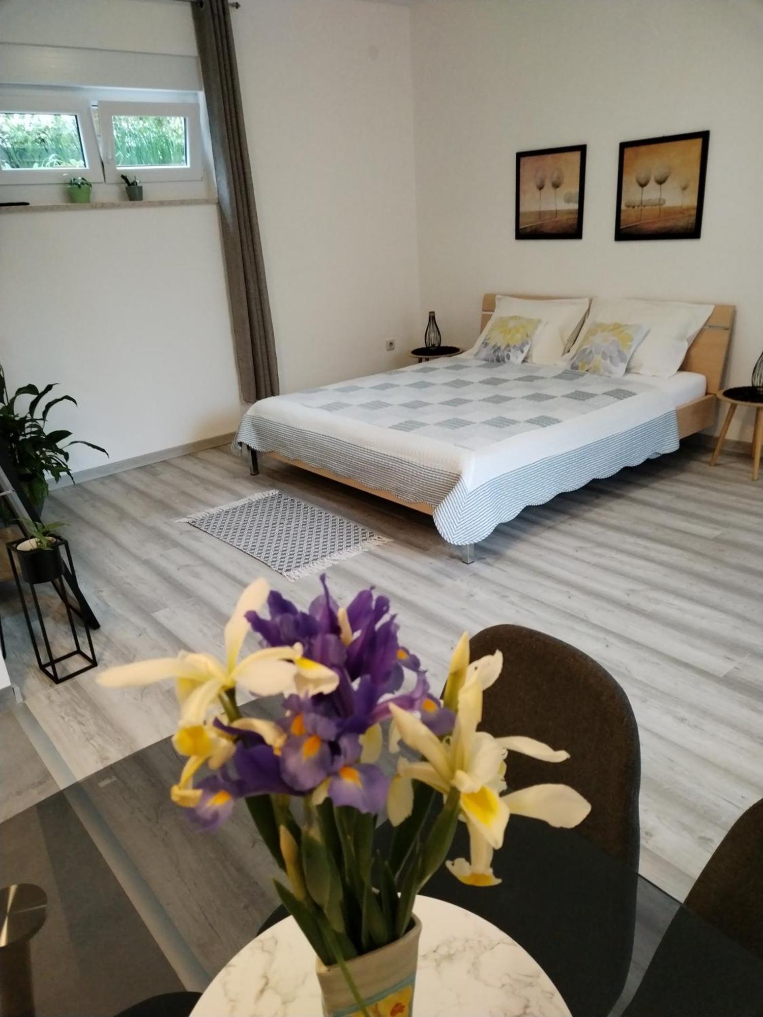 Apartments Mirijana بولا المظهر الخارجي الصورة